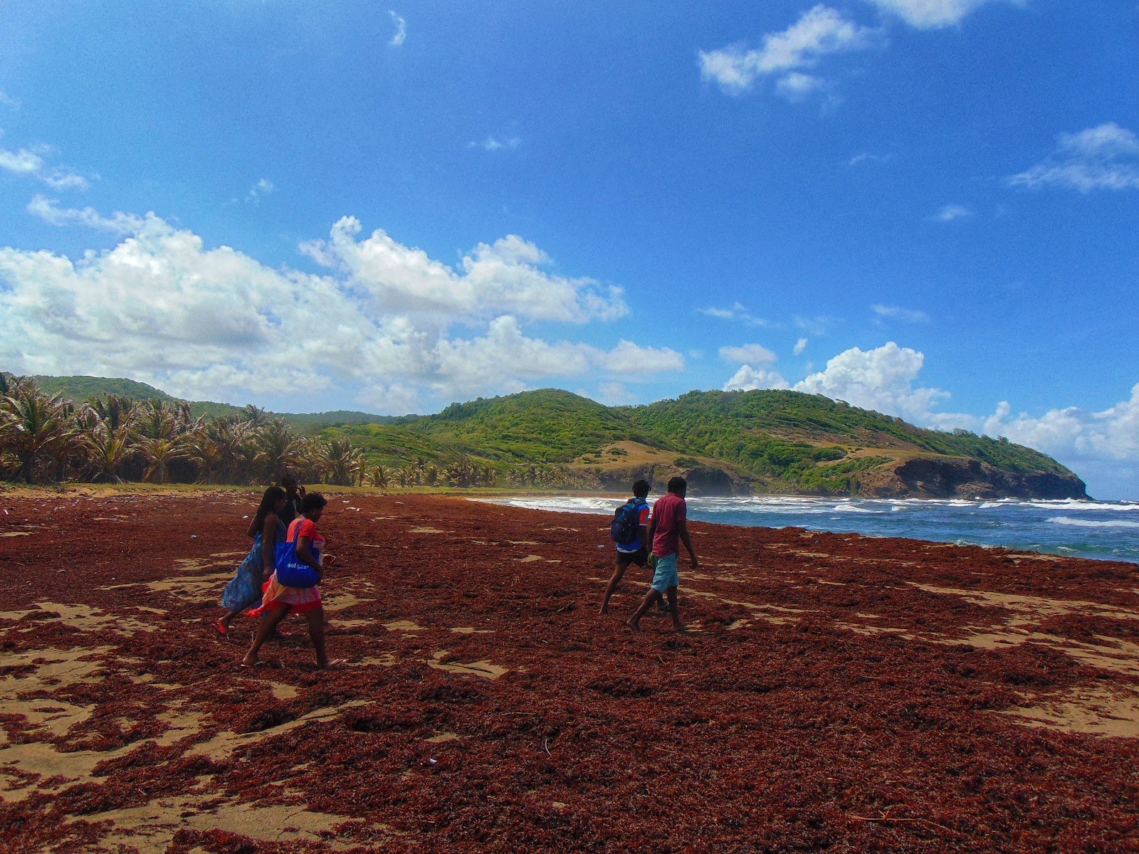 Foto av Grand Anse beach med ljus sand yta