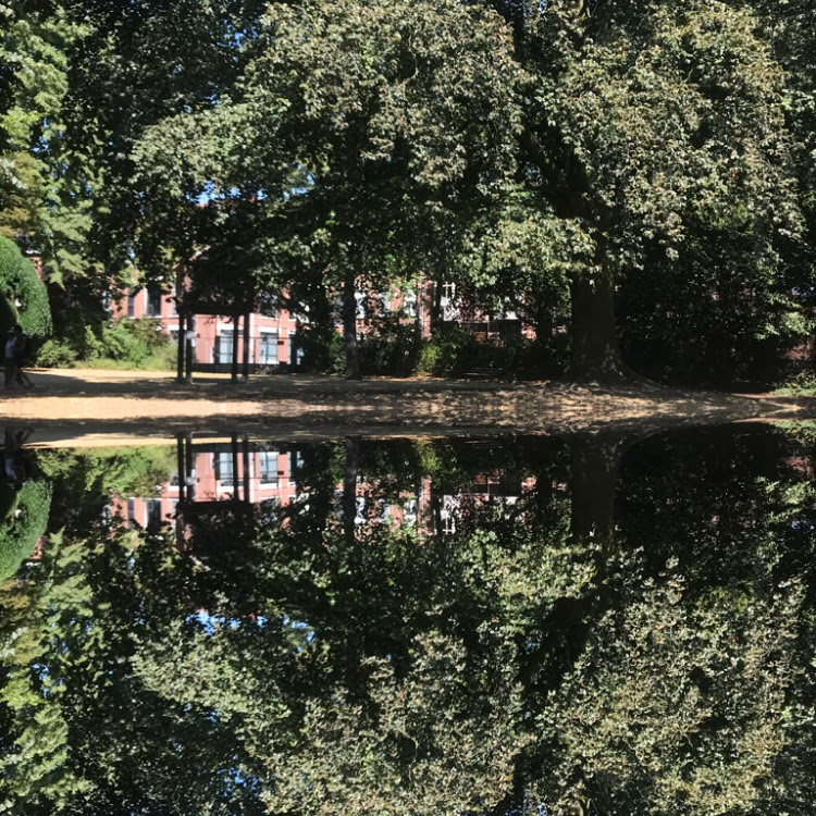 Photo n° 1 de l'avis de François.o fait le 22/05/2019 à 08:01