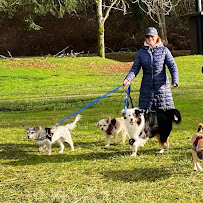 Aunty Min's Specialized Pet Care for your cats, dogs, rabbits, and other pets. - Photo 5 - Car repair in Bainbridge Island, WA, Bremerton