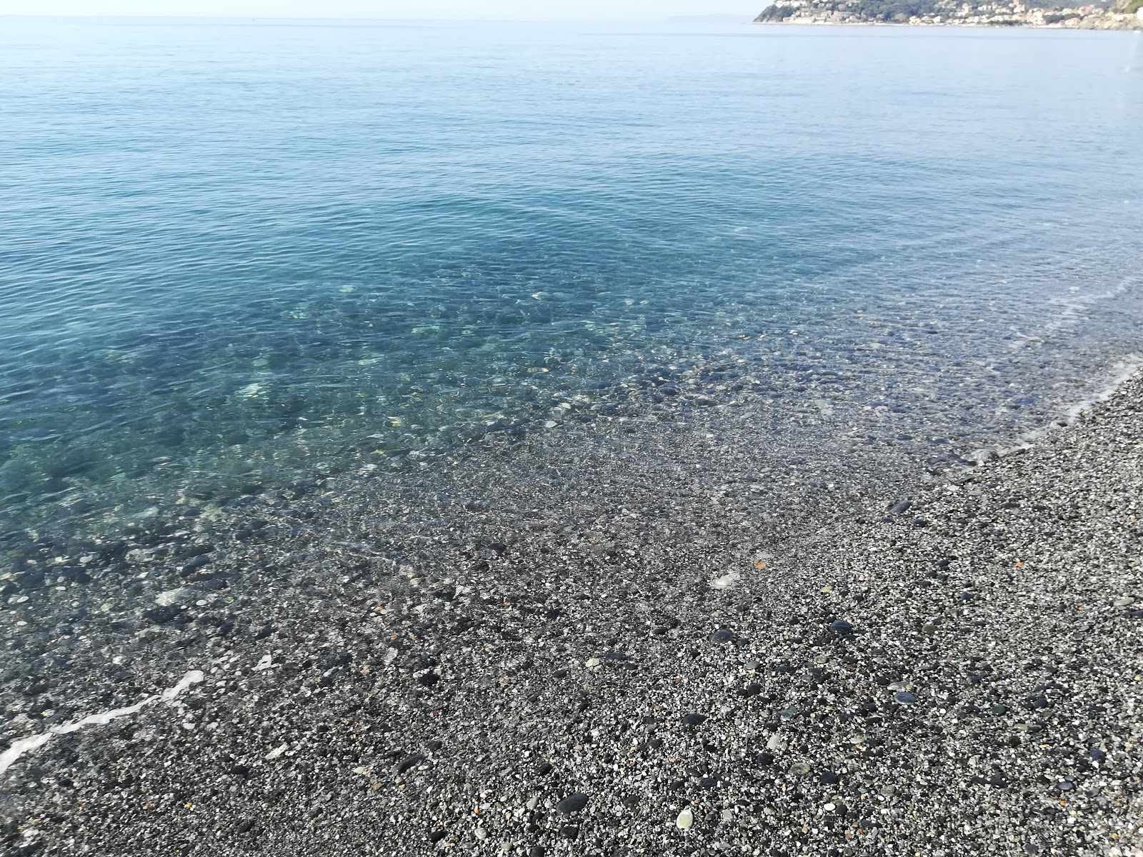 Photo de Spiaggia di Vesima - bon endroit convivial pour les animaux de compagnie pour les vacances