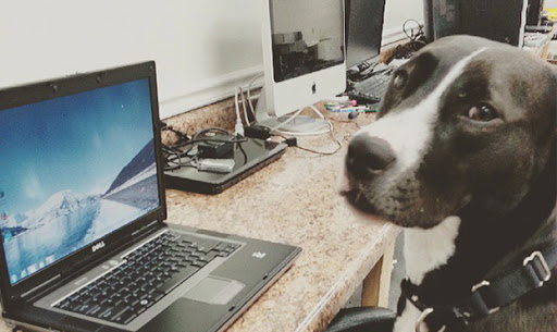 121 W 1st St, Dixon, IL 61021, USA