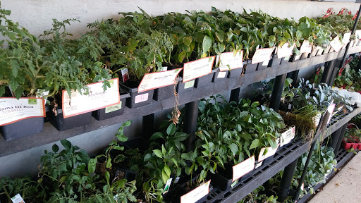 Hardware Store «Brandt & Sons Ace Hardware», reviews and photos, 12634 Dorsett Rd, Maryland Heights, MO 63043, USA