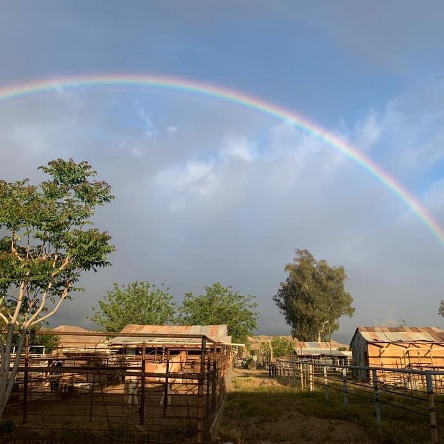 Coalinga CA