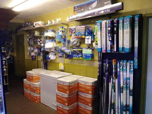 Coral Reefs Marine Fish