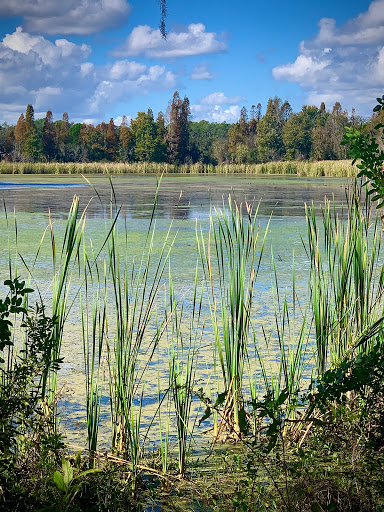Park «Alafia River State Park», reviews and photos, 14326 S County Rd 39, Lithia, FL 33547, USA