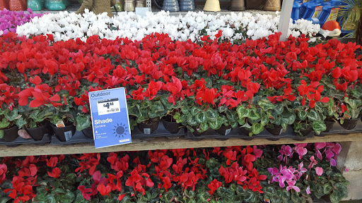 Home Improvement Store «The Home Depot», reviews and photos, 111 Shoreline Pkwy, San Rafael, CA 94901, USA