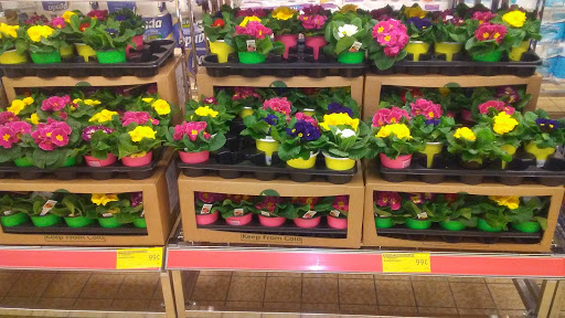 Supermarket «ALDI», reviews and photos, 1700 E Sycamore St, Kokomo, IN 46901, USA