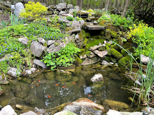 The Koi Story Fish Farm image 2