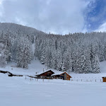 Photo n°3 de l'avis de Andrea.a fait le 26/02/2024 à 20:03 sur le  Malga Fratte Val di Rabbi à Rabbi