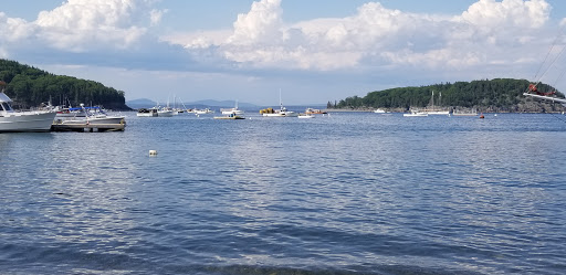 Gift Shop «Cool As A Moose», reviews and photos, 118 Main St, Bar Harbor, ME 04609, USA