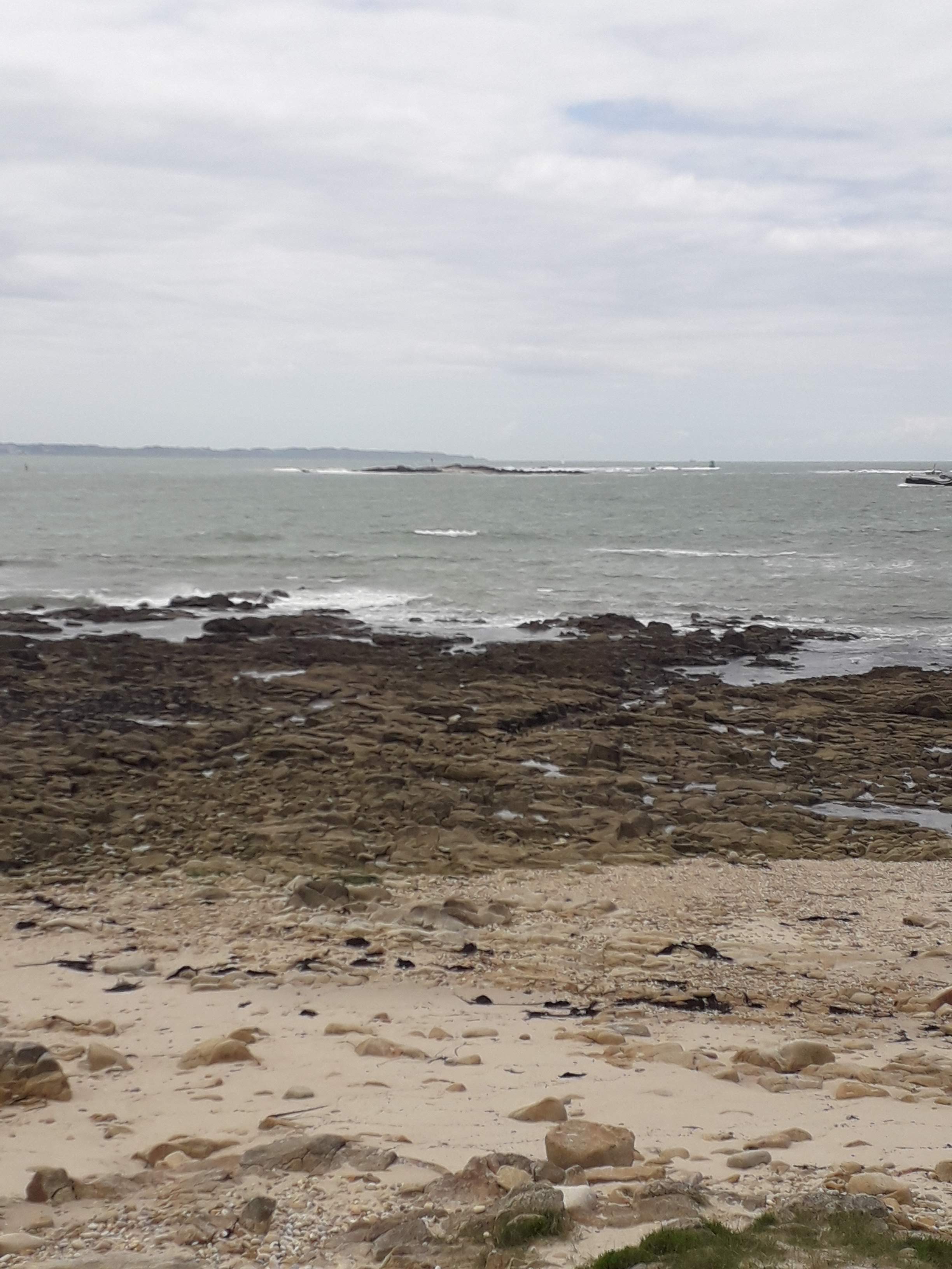 Photo n° 2 de l'avis de marina.e fait le 09/05/2019 à 13:26