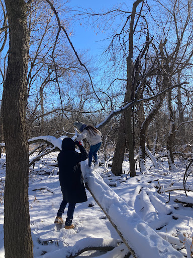Nature Preserve «Forest Preserves of Cook County», reviews and photos, 9460 S Dee Rd, Park Ridge, IL 60068, USA