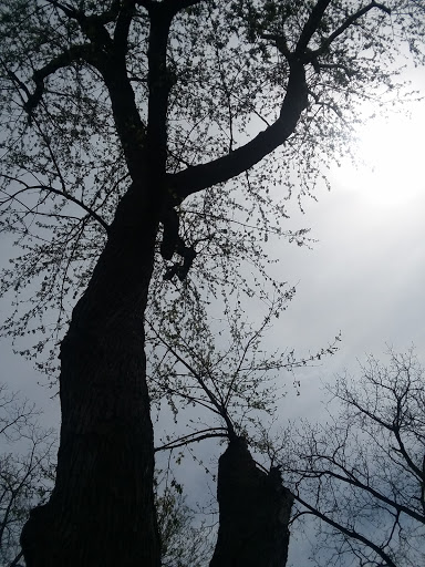 Tourist Attraction «Mill Creek Falls», reviews and photos, Mill Creek Trail, Cleveland, OH 44105, USA