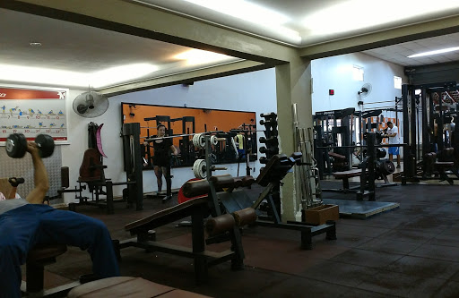 Logo da empresa - The King Gym