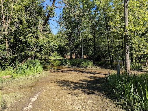 Linne Woods