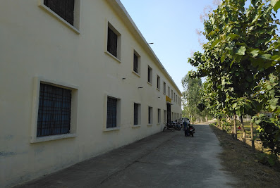 Himalaya Institute of Education
