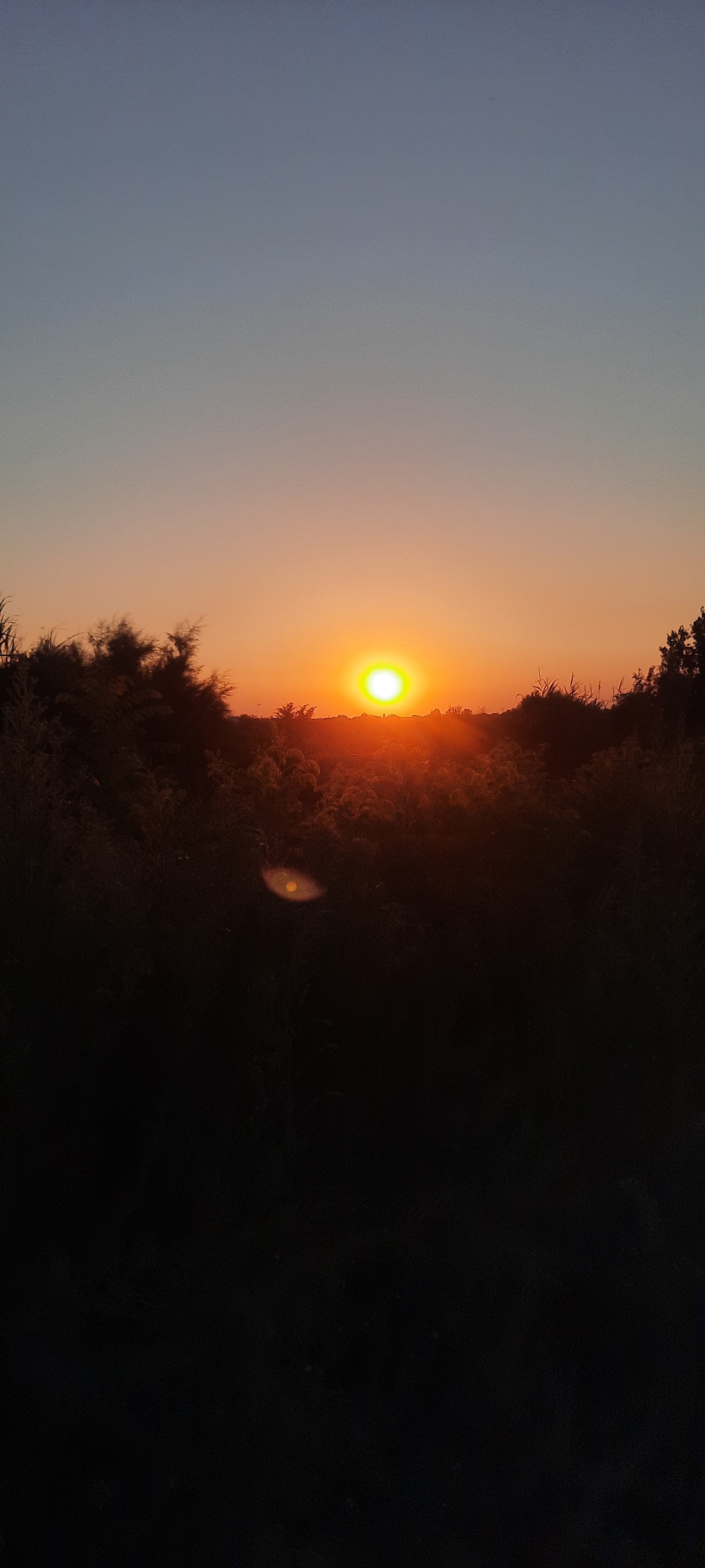 Photo n° 1 de l'avis de Alexis.a fait le 26/07/2022 à 17:14