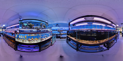 Aquarium Shop «Aquarium Depot», reviews and photos, 11762 SW 88th St, Miami, FL 33186, USA