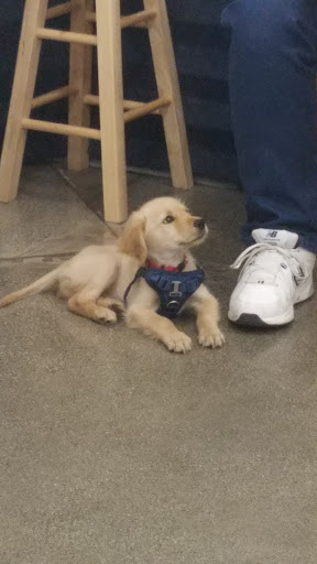 Pet Supply Store «Petco Animal Supplies», reviews and photos, 210 Nut Tree Pkwy, Vacaville, CA 95687, USA