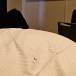 Photo n°1 de l'avis de Marcus.e fait le 13/09/2023 à 15:03 sur le  Hotel Königstein Kiel by Tulip Inn à Kronshagen