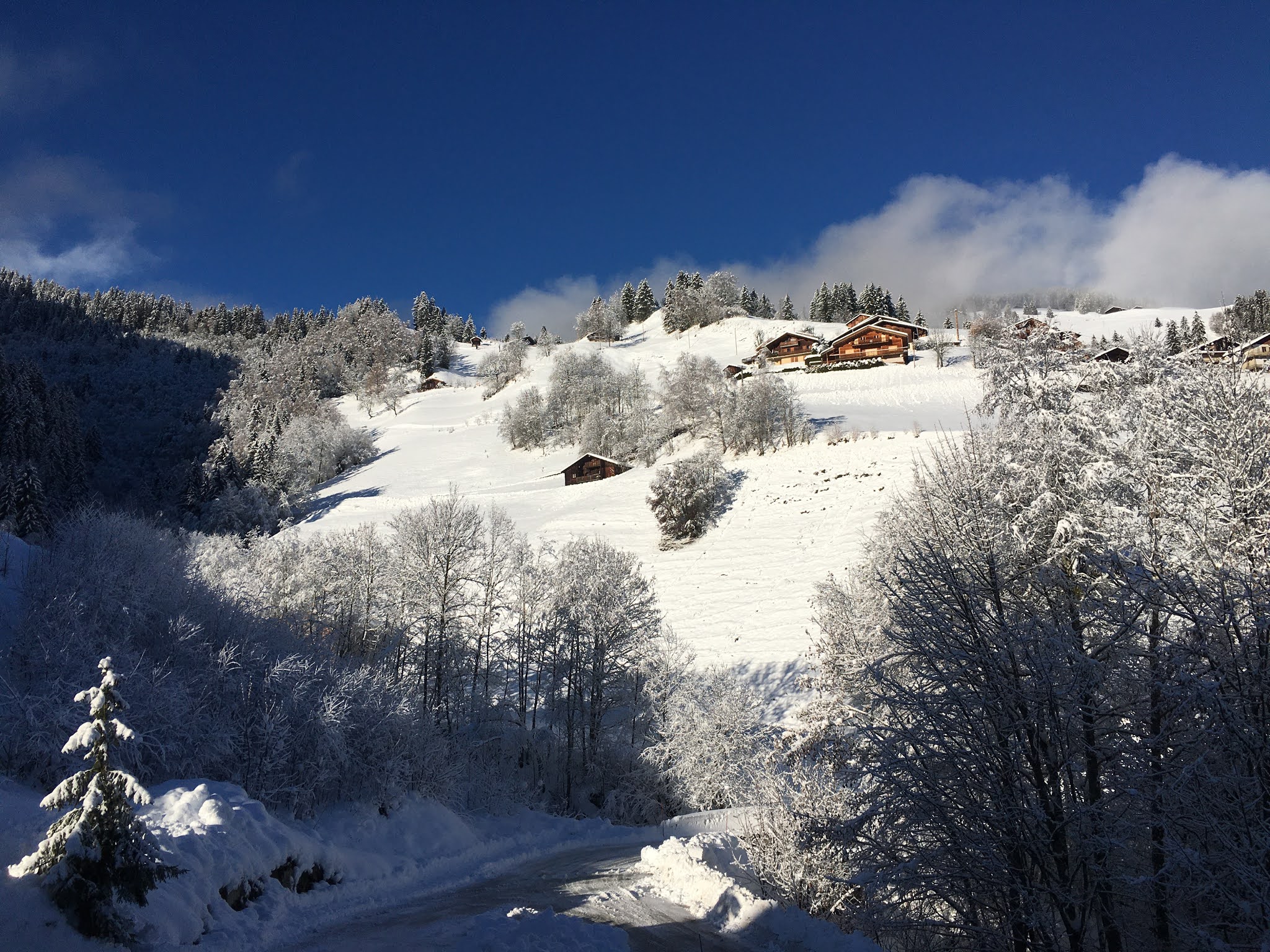 Photo n° 2 de l'avis de Le.r fait le 15/12/2020 à 07:55