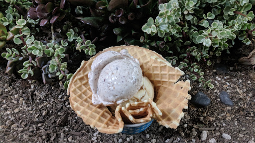 Ice Cream Shop «Sweet Republic», reviews and photos, 6054 N 16th St, Phoenix, AZ 85014, USA