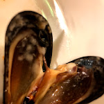 Photo n°1 de l'avis de Kristiyana.t fait le 20/07/2020 à 15:05 sur le  Il Grottino - piatti tipici, specialità di pesce vista lago à Castel Gandolfo