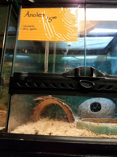 Pet Store «Tanks Pet Supply», reviews and photos, 628 S Main St, Princeton, IL 61356, USA
