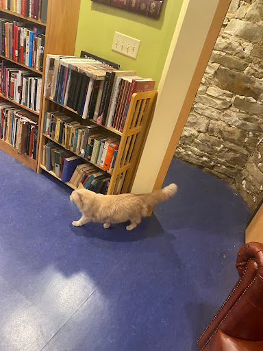 Book Store «Voyageur Book Shop», reviews and photos, 2212 S Kinnickinnic Ave, Milwaukee, WI 53207, USA