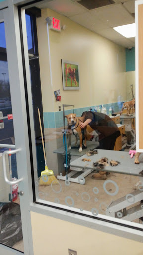 Pet Supply Store «Petco», reviews and photos, 1851 Sunrise Hwy, Bay Shore, NY 11706, USA