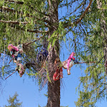 Photo n°14 de l'avis de Schnucki.K fait le 22/01/2022 à 23:13 sur le  Pension Schlaneiderhof à Mölten