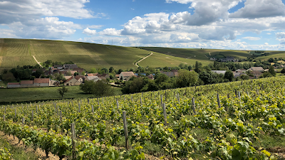 Domaine Pascal et Nicolas Reverdy à Sury-en-Vaux