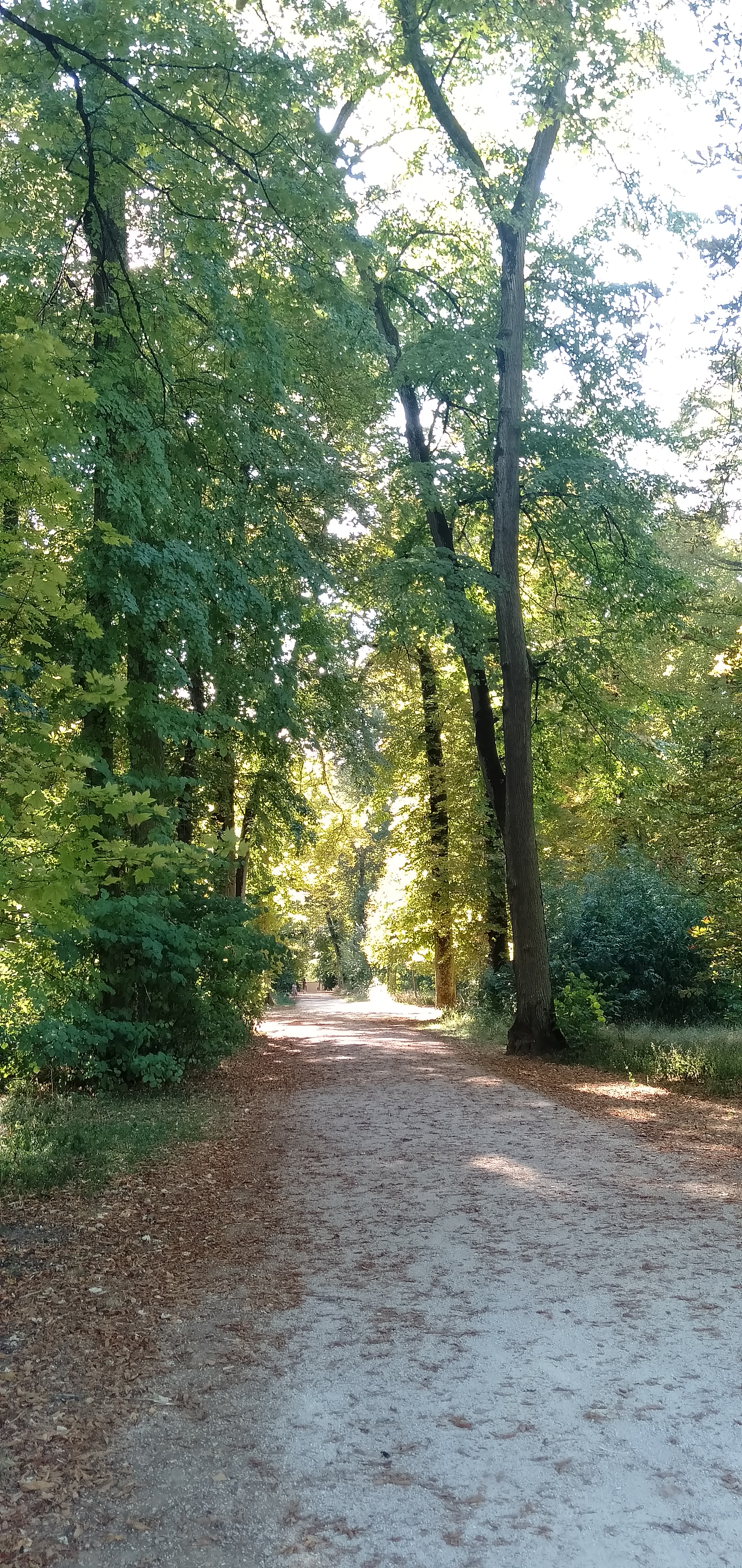 Photo n° 5 de l'avis de M-E. fait le 17/08/2020 à 16:55