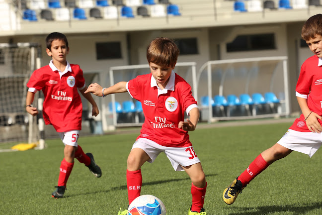 Avaliações doBenfica Escola de Futebol Pedrógão Grande em Leiria - Escola