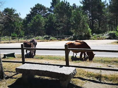 Merendero - EP-2202, Baiona, Pontevedra, Spain