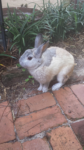 Coffee Shop «Three Layers Cafe», reviews and photos, 1602 Walnut St, Jacksonville, FL 32206, USA