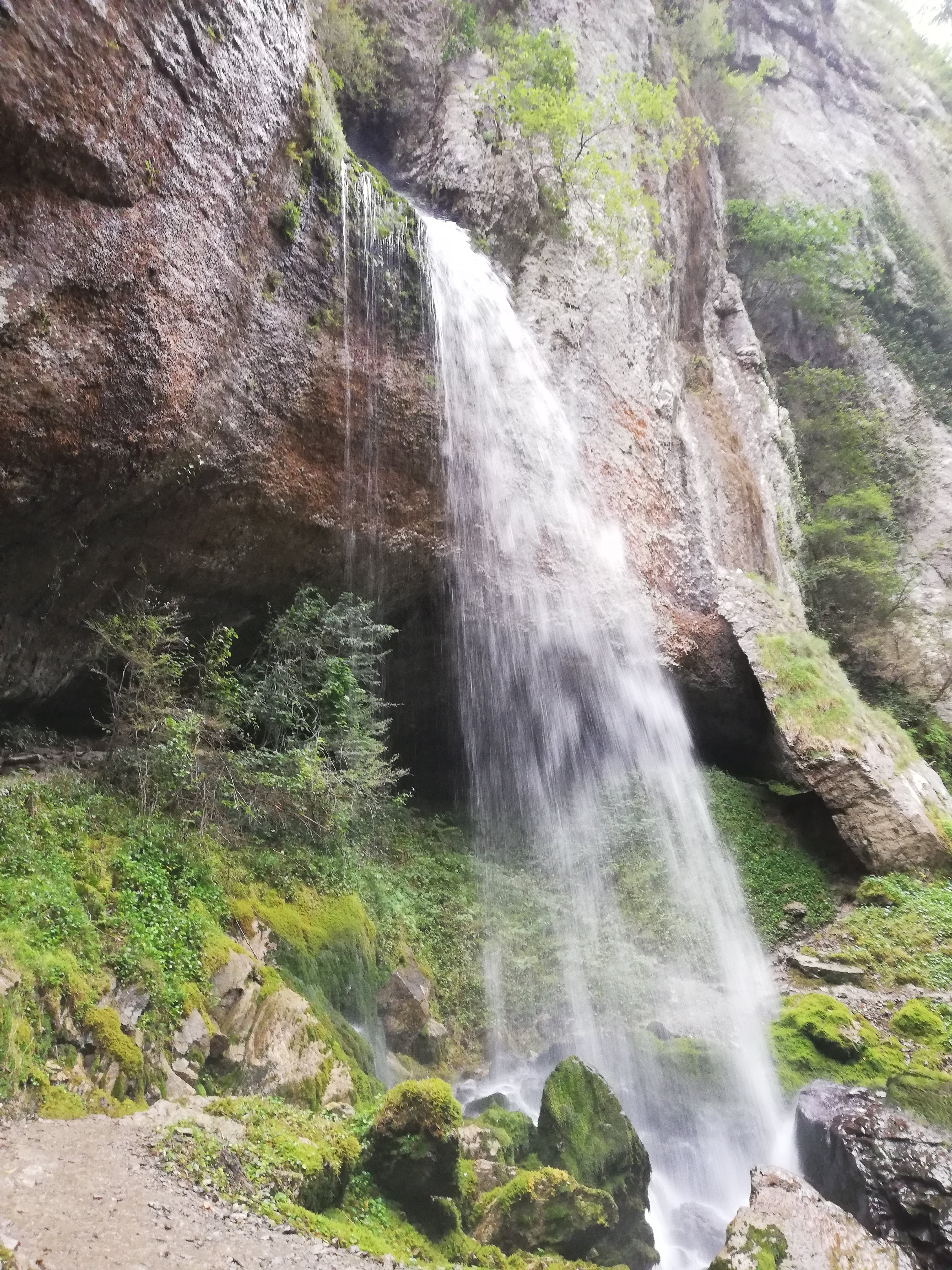 Photo n° 9 de l'avis de Marc.e fait le 30/08/2018 à 12:26