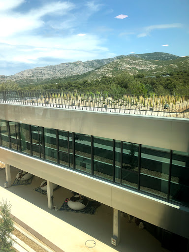 Droit des universités privées Marseille