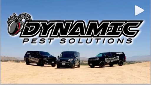 Dynamic Pest Solutions