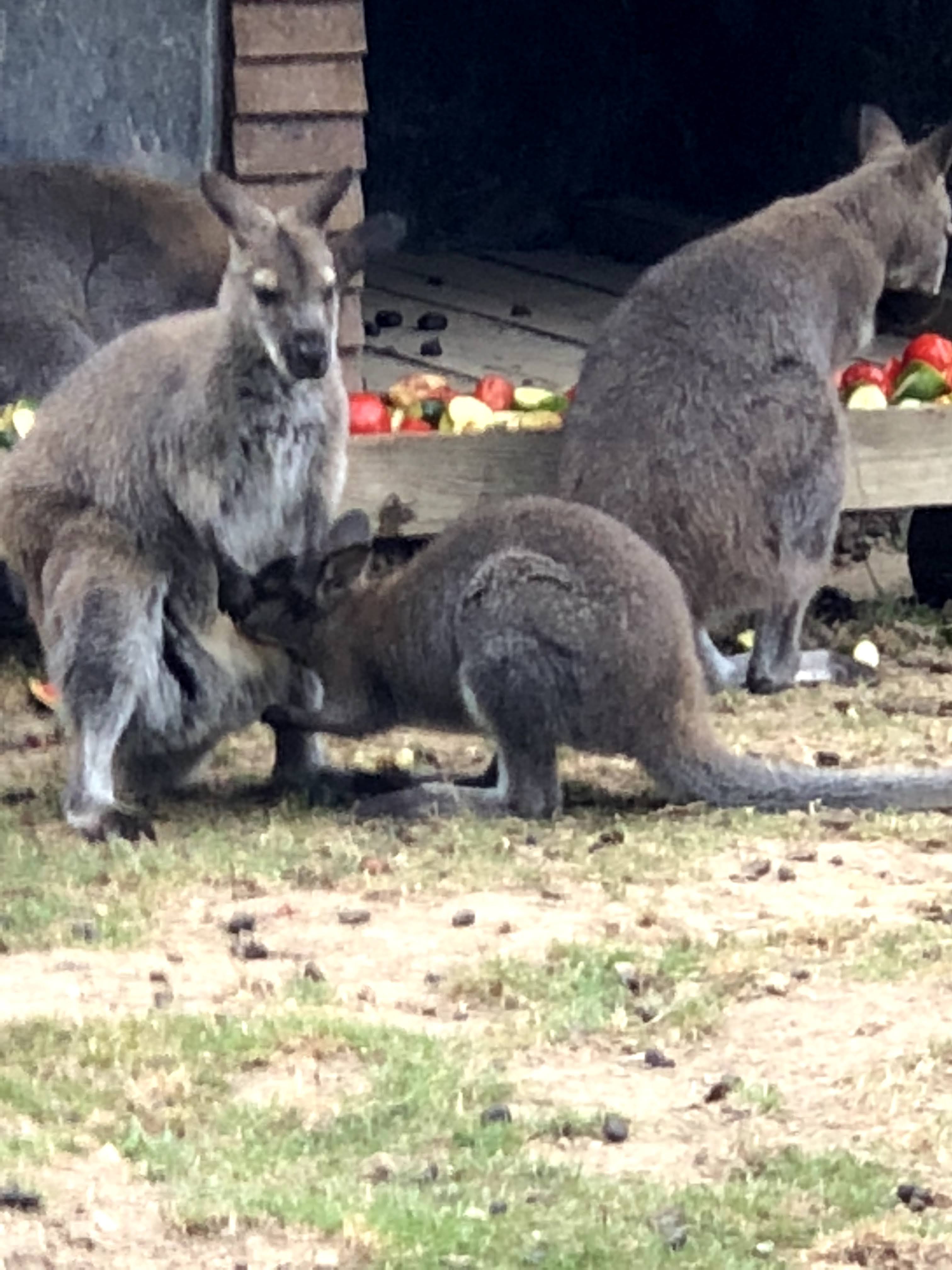 Photo n° 13 de l'avis de Julien.o fait le 27/07/2018 à 17:41