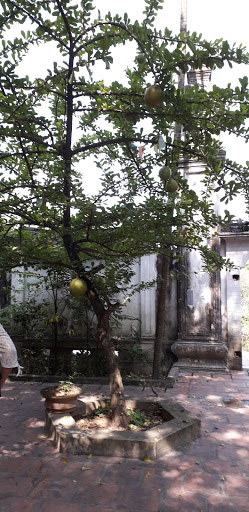 Top 20 cửa hàng son môi Huyện Kim Bảng Hà Nam 2022