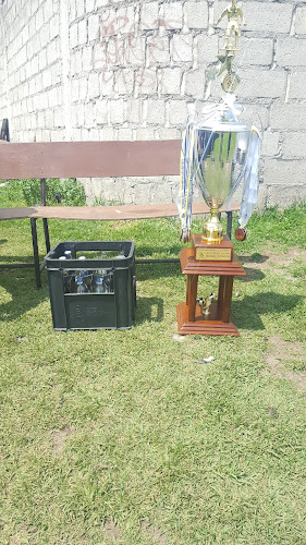 Liga Barrial 5 de Febrero - Campo de fútbol