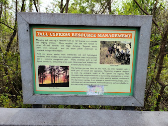 Tall Cypress Natural Area
