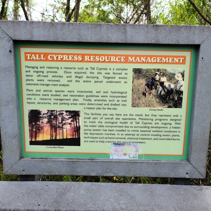 Tall Cypress Natural Area