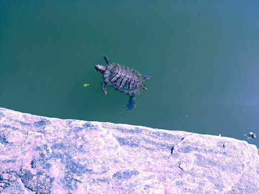 Park «Bowne Park», reviews and photos, 156-17 29th Ave, Flushing, NY 11354, USA