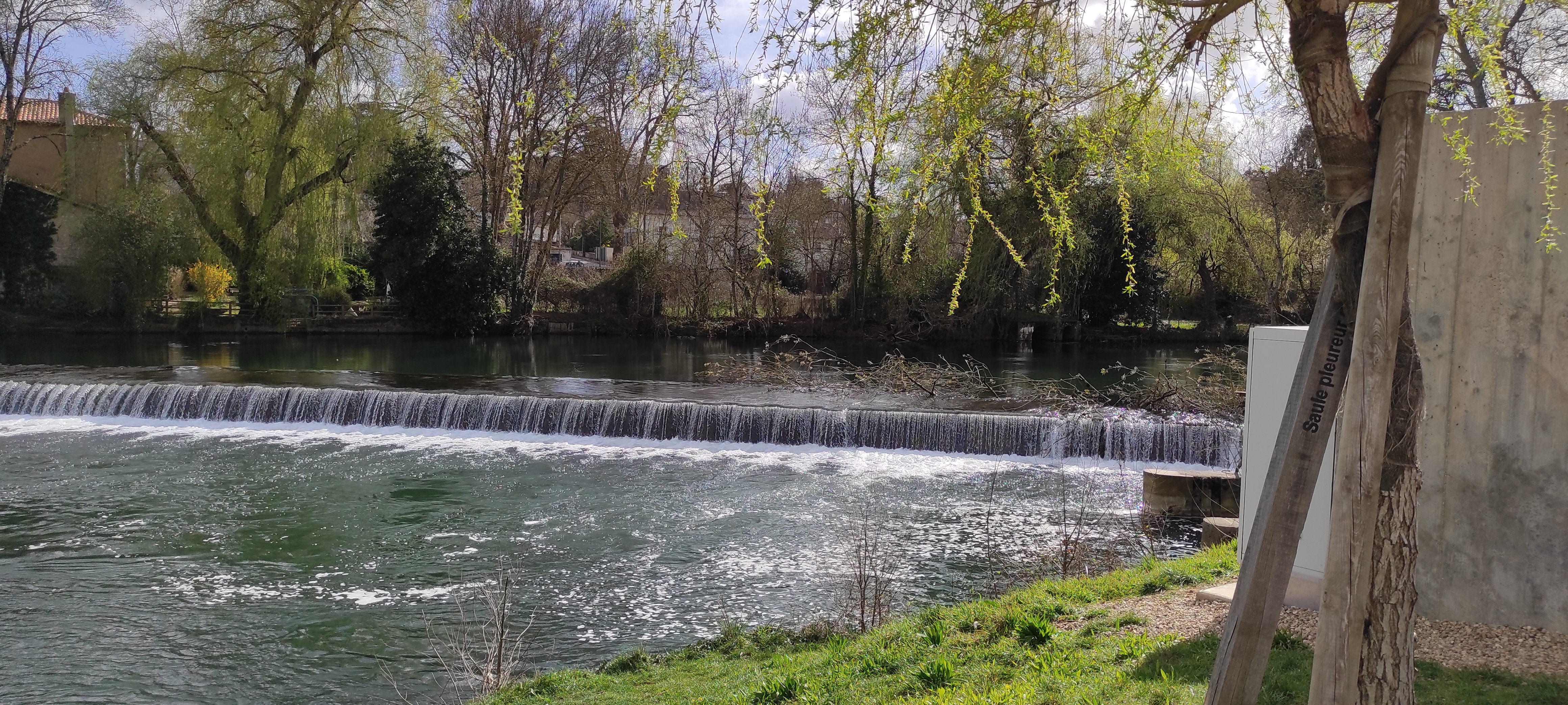 Photo n° 5 de l'avis de R. fait le 14/03/2021 à 16:39