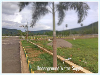 Google Maps image 30