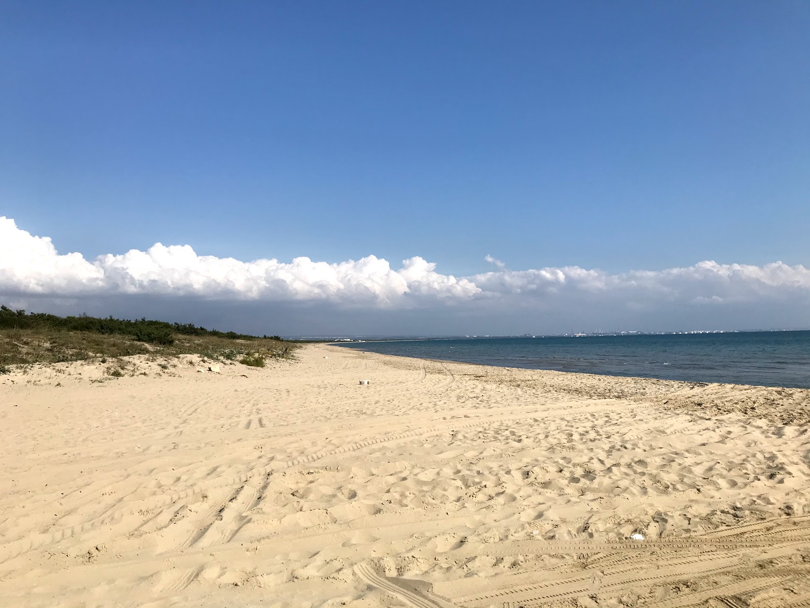 Foto av Pino Di Lenne beach med hög nivå av renlighet