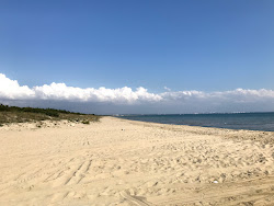 Photo de Spiaggia Pino di Lenne zone des équipements