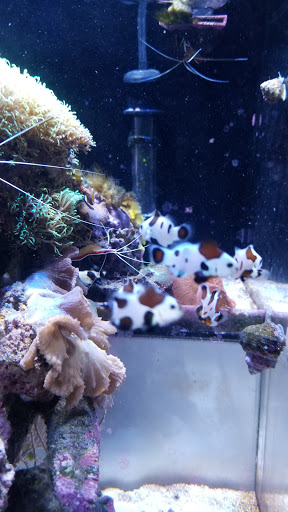 Pet Supply Store «New Wave Aquaria», reviews and photos, 14100 23rd Ave N, Minneapolis, MN 55447, USA